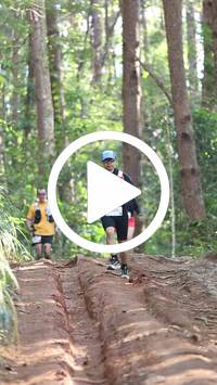 BIB:  <button type="button" onclick="openModal(26569751)" class="btn btn-primary btn-sm float-right" data-toggle="modal" data-target=".modal-high-quality">
                <i class="fa fa-download"></i> Download
                </button>